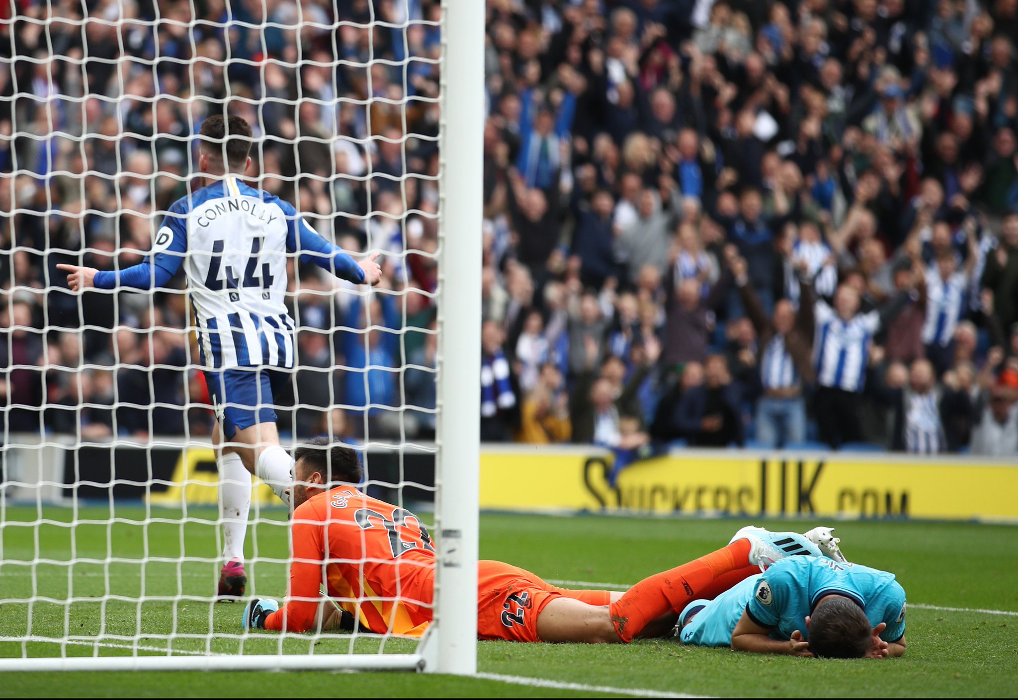 她不仅代表 她不仅代表